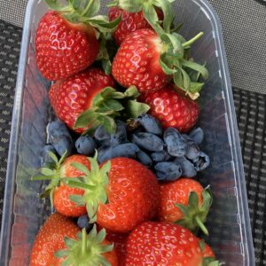 Плодни храсти